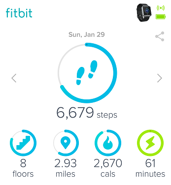 does a fitbit track calories burned